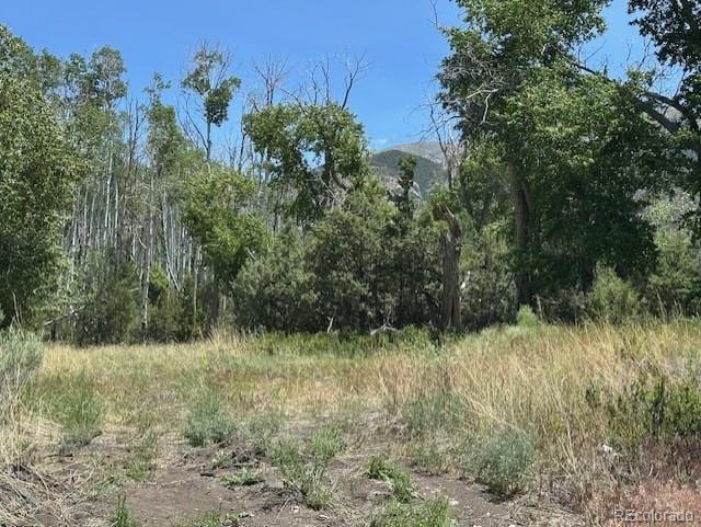231 Mill Run Rd, Mosca, CO 81146 - photo 1