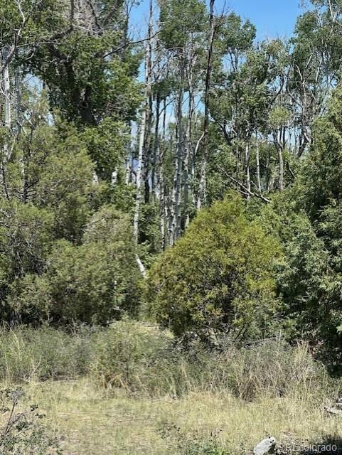 231 Mill Run Rd, Mosca, CO 81146 - photo 3