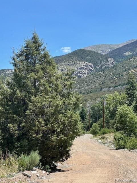 231 Mill Run Rd, Mosca, CO 81146 - photo 4
