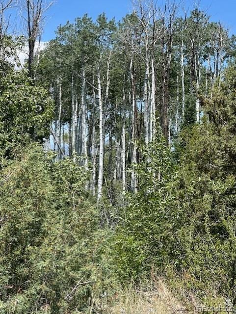 231 Mill Run Rd, Mosca, CO 81146 - photo 6