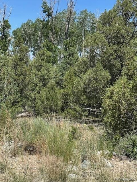 231 Mill Run Rd, Mosca, CO 81146 - photo 5
