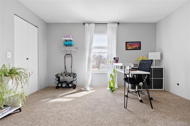 209 Wright St Unit 204, Lakewood, CO 80228 - carpeted office with a textured ceiling
