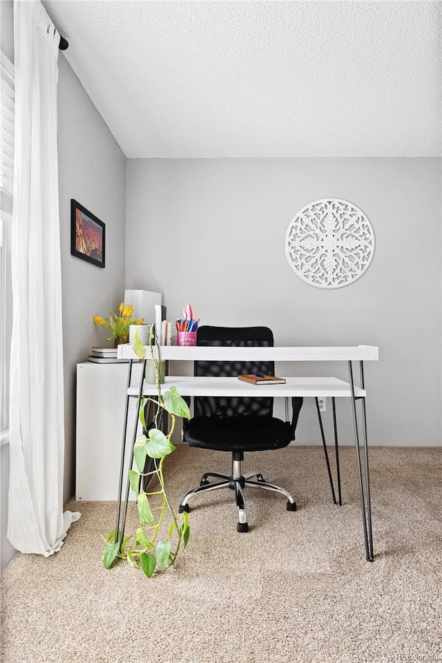 209 Wright St Unit 204, Lakewood, CO 80228 - office area featuring a textured ceiling