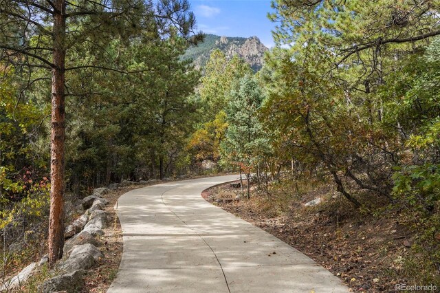 view of property's community featuring a mountain view