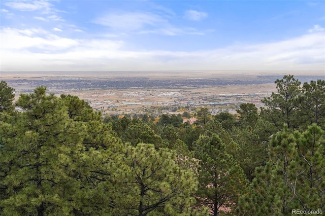 5680 Jarman St, Colorado Springs, CO 80906 - photo 47