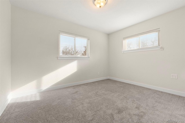 spare room with carpet