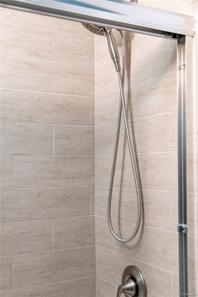 interior details with walk in shower