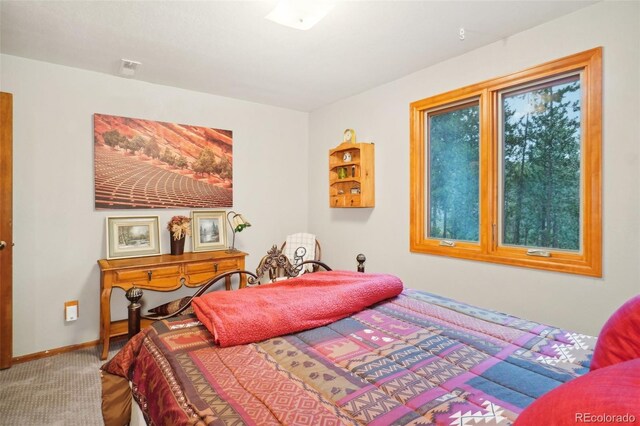 view of carpeted bedroom