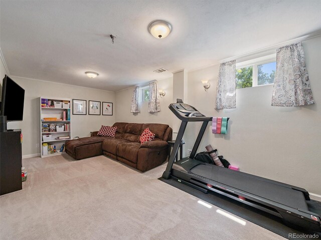 11399 Kendall St, Westminster, CO 80020 - workout area featuring carpet flooring and ornamental molding