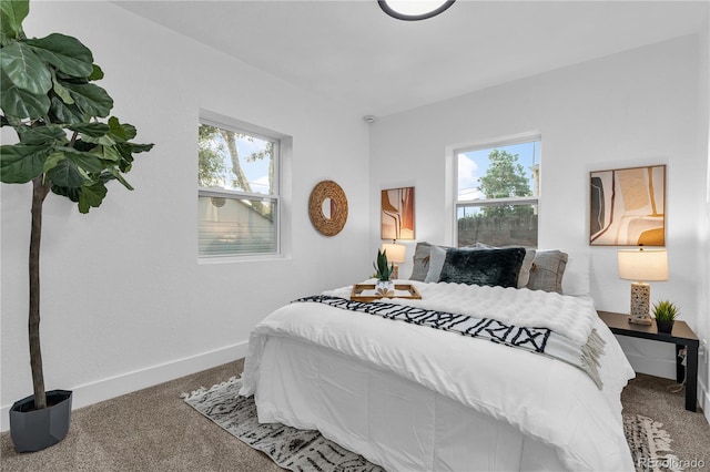 1645 Tamarac St, Denver, CO 80220 - photo 13
