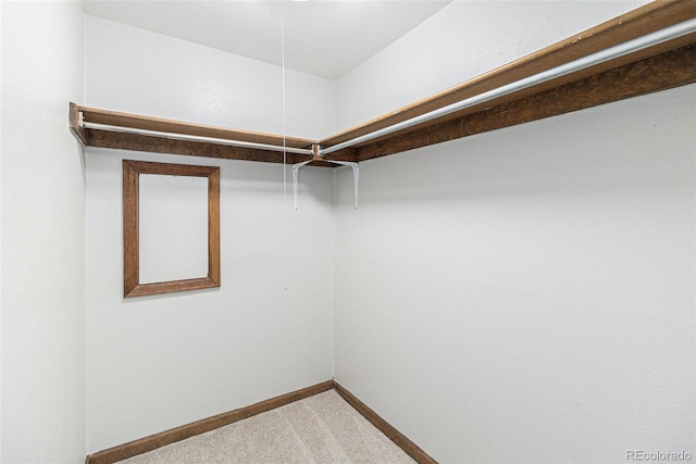 813 E 14th Ave Unit 4, Denver, CO 80218 - spacious closet with light carpet