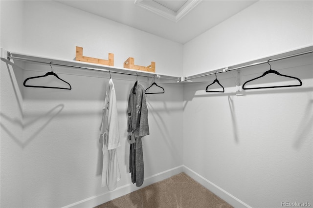 walk in closet with carpet and attic access