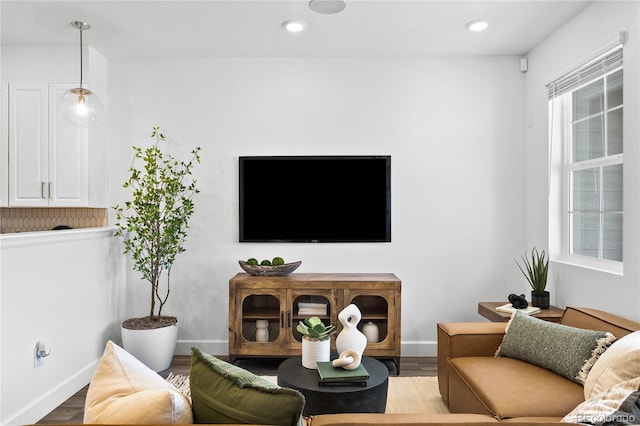 living area with baseboards, wood finished floors, and a wealth of natural light