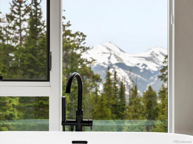 436 N Fuller Placer Rd, Breckenridge, CO 80424 - detailed view