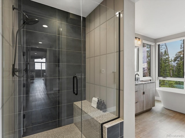 436 N Fuller Placer Rd, Breckenridge, CO 80424 - bathroom featuring a shower stall, plenty of natural light, a freestanding tub, and vanity
