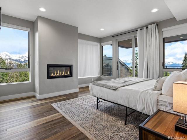436 N Fuller Placer Rd, Breckenridge, CO 80424 - bedroom featuring access to exterior, wood finished floors, baseboards, a glass covered fireplace, and recessed lighting