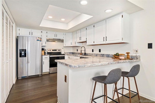 kitchen with stainless steel appliances, under cabinet range hood, a raised ceiling, a peninsula, and a sink