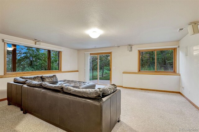 1680 Oakwood Dr, Monument, CO 80132 - photo 28
