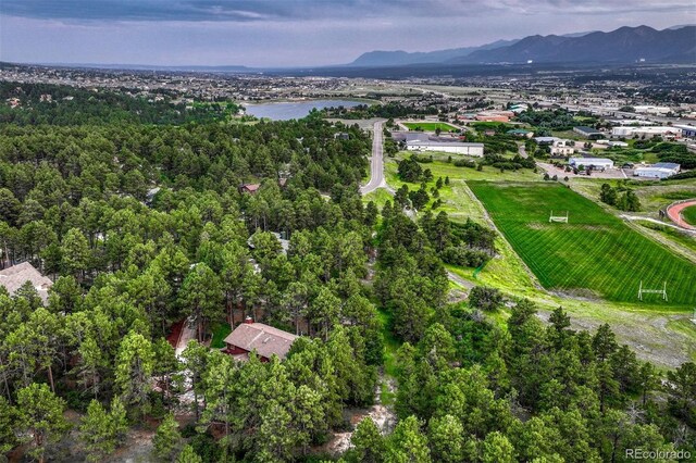 1680 Oakwood Dr, Monument, CO 80132 - photo 35