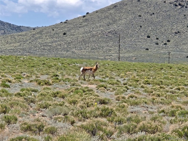 11th St, Blanca, CO 81133