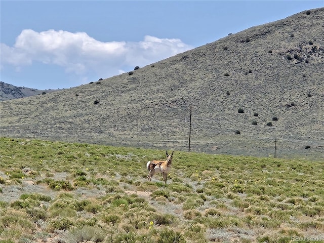 11th St, Blanca, CO 81133