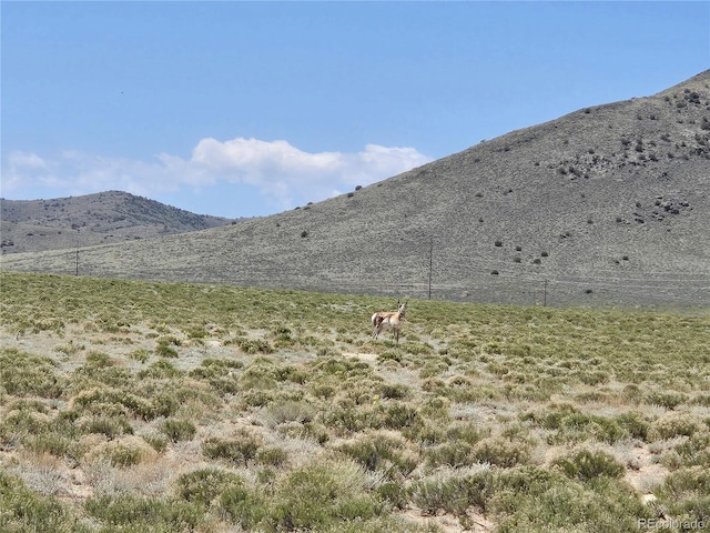 11th St, Blanca, CO 81133
