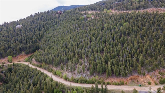 Clear Creek Rd, Evergreen, CO 80439