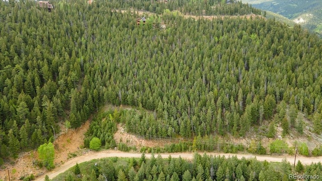 Clear Creek Rd, Evergreen, CO 80439