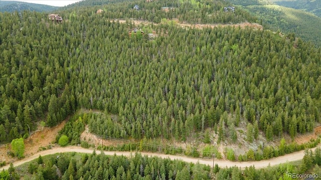 Clear Creek Rd, Evergreen, CO 80439