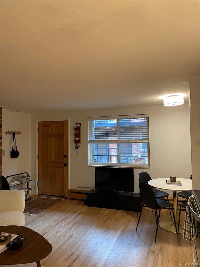 155 S Pennsylvania St Unit 209, Denver, CO 80209 - living room featuring wood finished floors