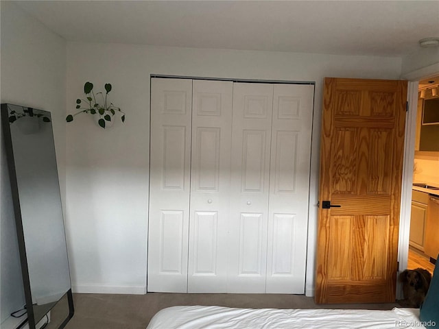 155 S Pennsylvania St Unit 209, Denver, CO 80209 - bedroom with a closet