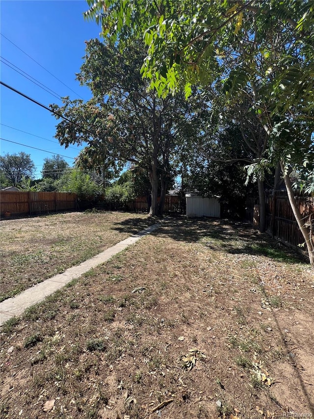 view of yard with a shed