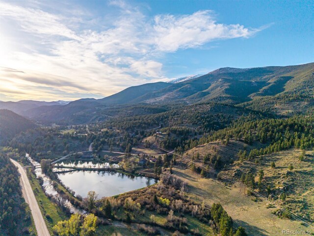 156 E Cline Dr, Shawnee, CO 80475