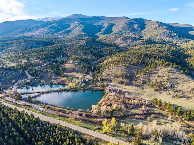 156 E Cline Dr, Shawnee, CO 80475