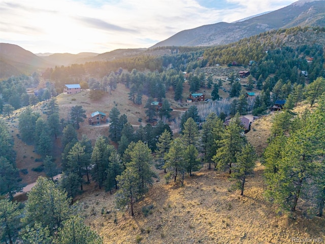 156 E Cline Dr, Shawnee, CO 80475
