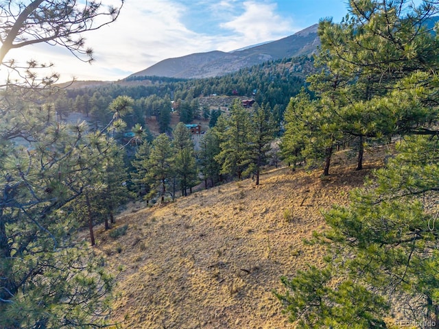 156 E Cline Dr, Shawnee, CO 80475