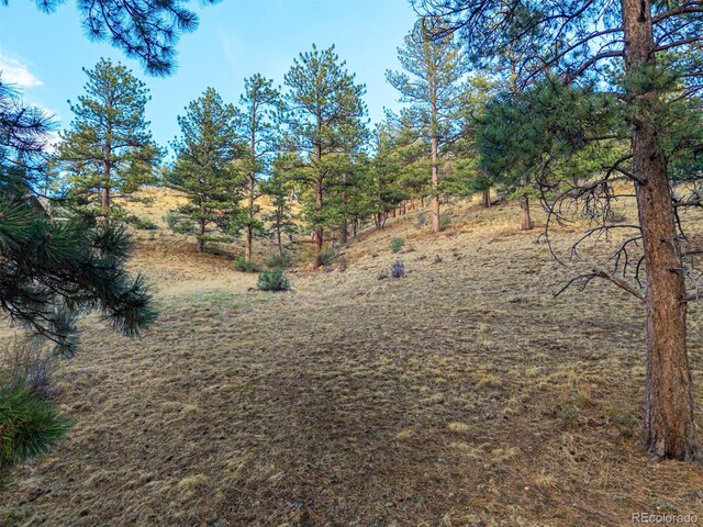 156 E Cline Dr, Shawnee, CO 80475