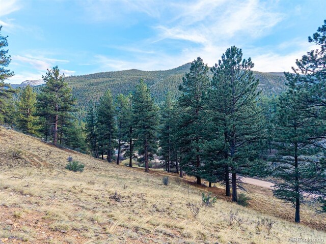 156 E Cline Dr, Shawnee, CO 80475