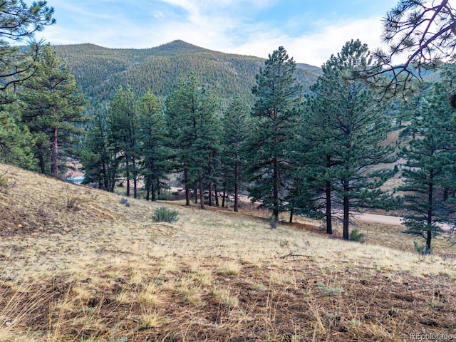 156 E Cline Dr, Shawnee, CO 80475