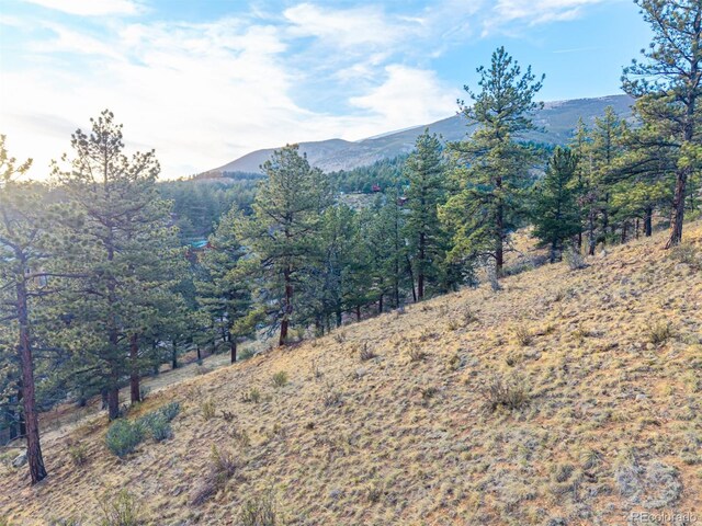 156 E Cline Dr, Shawnee, CO 80475