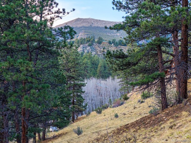 156 E Cline Dr, Shawnee, CO 80475
