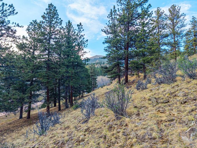 156 E Cline Dr, Shawnee, CO 80475