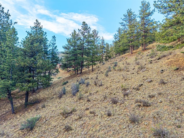156 E Cline Dr, Shawnee, CO 80475
