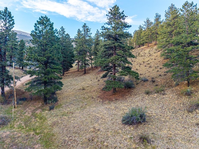 156 E Cline Dr, Shawnee, CO 80475