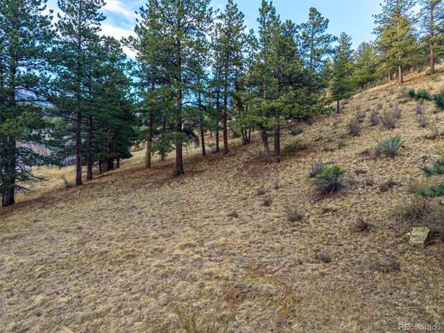 156 E Cline Dr, Shawnee, CO 80475