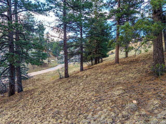 156 E Cline Dr, Shawnee, CO 80475