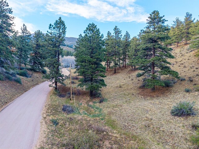 156 E Cline Dr, Shawnee, CO 80475