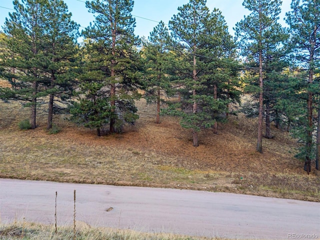 156 E Cline Dr, Shawnee, CO 80475
