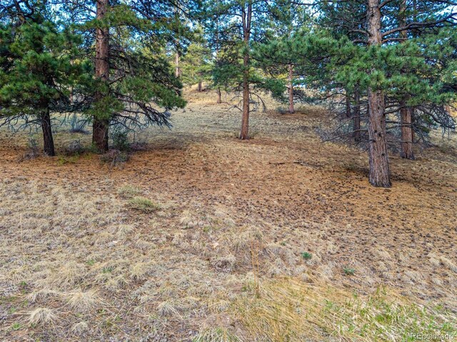 156 E Cline Dr, Shawnee, CO 80475