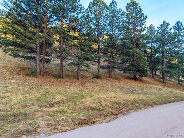 156 E Cline Dr, Shawnee, CO 80475